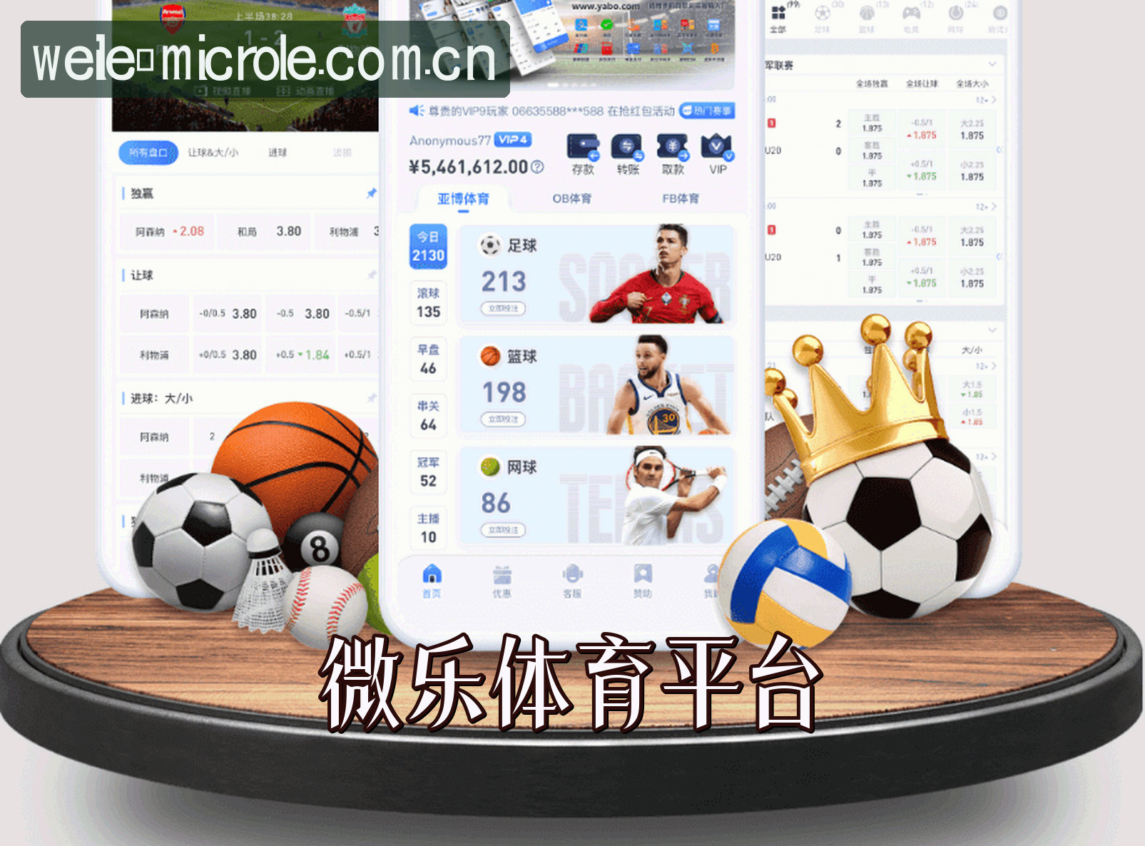 关于我们简介